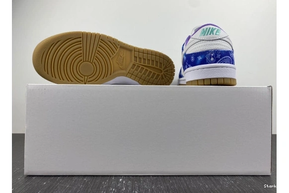 Low SB White Dunk CT5053-041 Navy Nike Blue Purple 0110